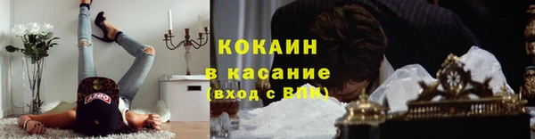 прущие крисы Абаза