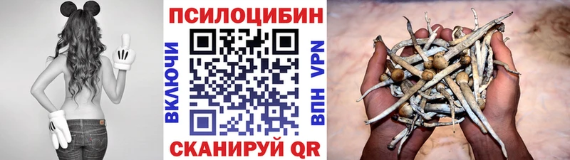 MEGA ССЫЛКА  Шебекино  Галлюциногенные грибы Psilocybe 