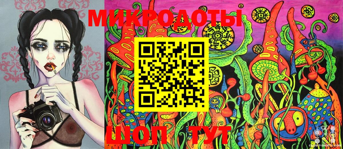 Псилоцибиновые грибы мицелий Шебекино